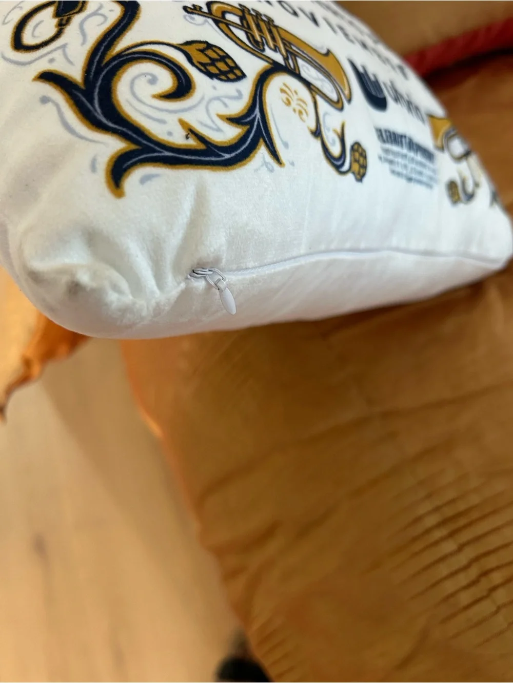 $10 Days Mexican Cumbia Group Canaveral Pillow 14” x 14”